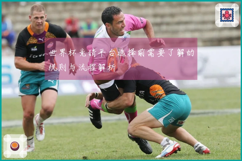 世界杯竞猜平台选择前需要了解的规则与流程解析