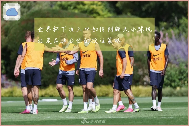 世界杯下注入口如何判断大小球玩法是否适合你的投注策略