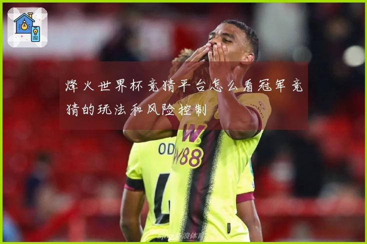 烽火世界杯竞猜平台怎么看冠军竞猜的玩法和风险控制