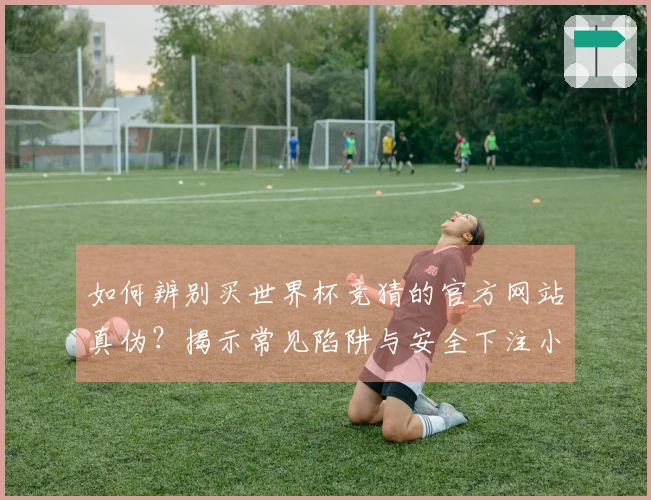 如何辨别买世界杯竞猜的官方网站真伪?揭示常见陷阱与安全下注小技巧