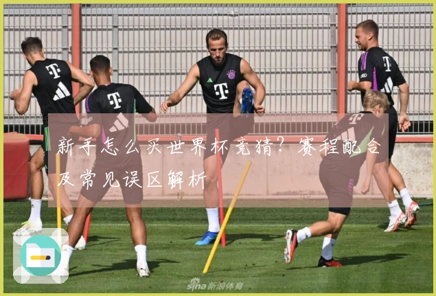 新手怎么买世界杯竞猜？赛程配合及常见误区解析