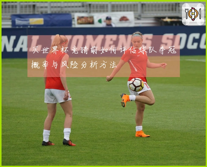 买世界杯竞猜前如何评估球队夺冠概率与风险分析方法