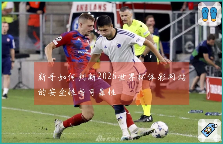 新手如何判断2026世界杯体彩网站的安全性与可靠性