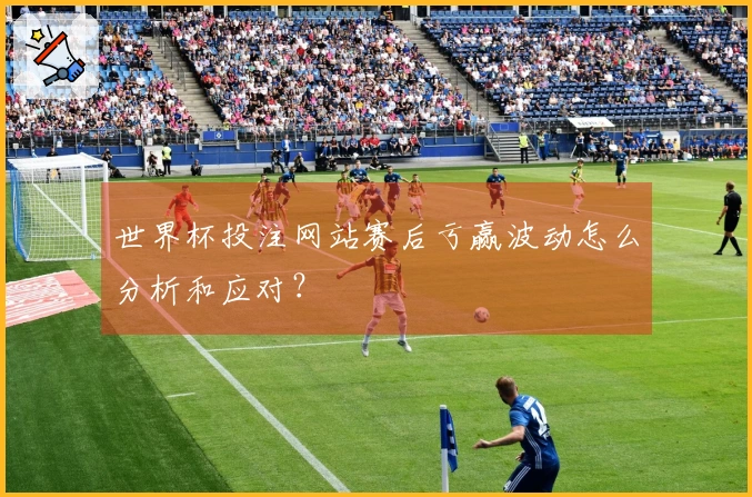 世界杯投注网站赛后亏赢波动怎么分析和应对？