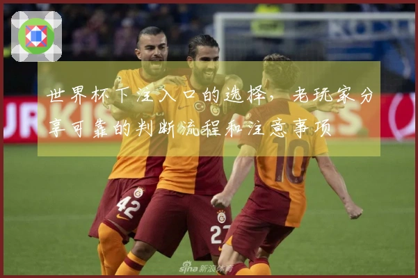 世界杯下注入口的选择，老玩家分享可靠的判断流程和注意事项