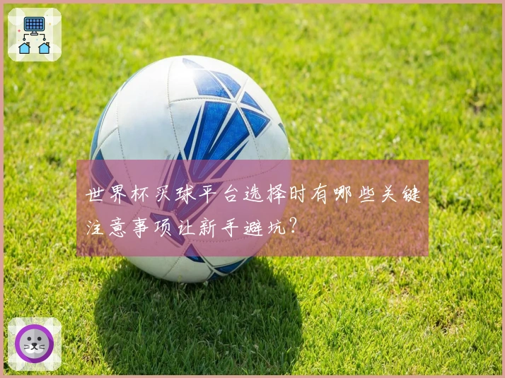 世界杯买球平台选择时有哪些关键注意事项让新手避坑？