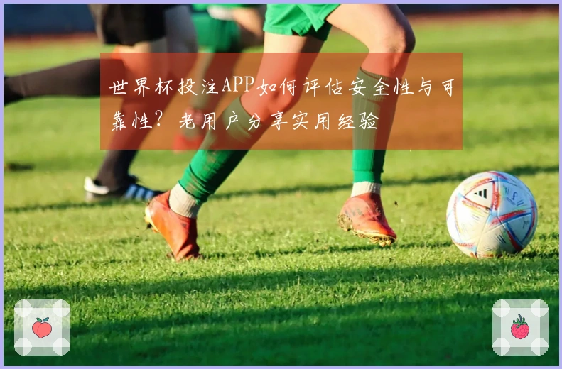 世界杯投注APP如何评估安全性与可靠性？老用户分享实用经验