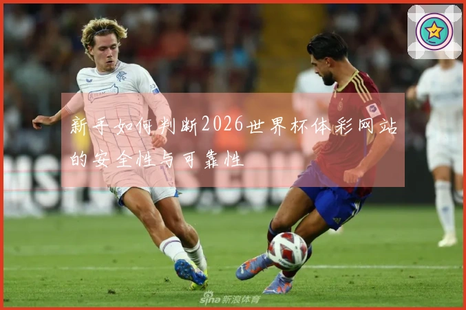 新手如何判断2026世界杯体彩网站的安全性与可靠性