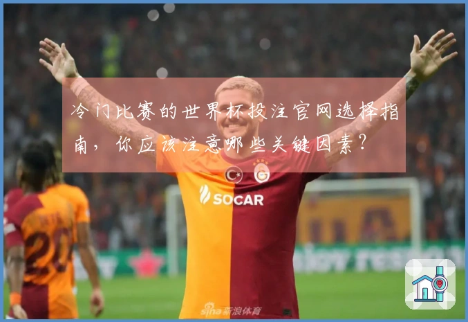 冷门比赛的世界杯投注官网选择指南，你应该注意哪些关键因素？