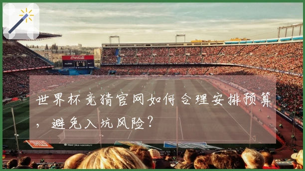 世界杯竞猜官网如何合理安排预算，避免入坑风险？