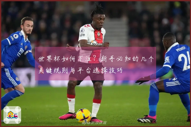 世界杯如何下注？新手必知的几个关键规则与平台选择技巧