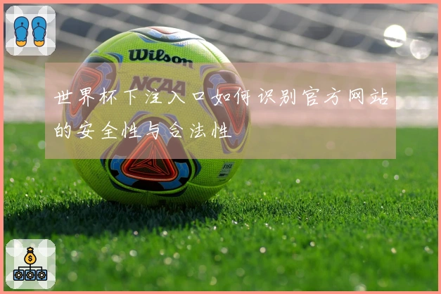世界杯下注入口如何识别官方网站的安全性与合法性