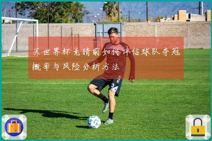 买世界杯竞猜前如何评估球队夺冠概率与风险分析方法