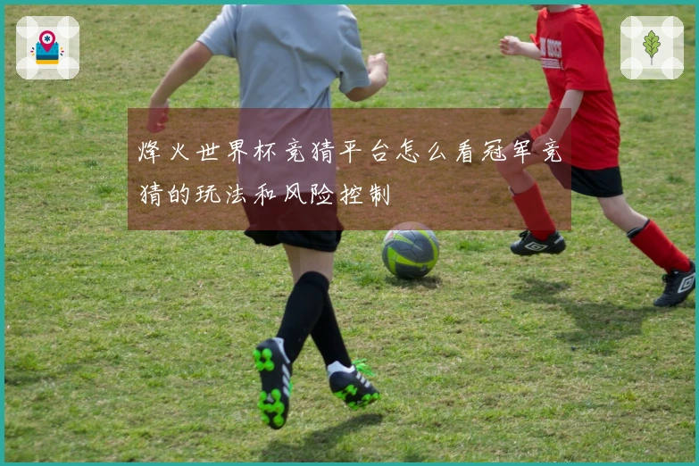 烽火世界杯竞猜平台怎么看冠军竞猜的玩法和风险控制
