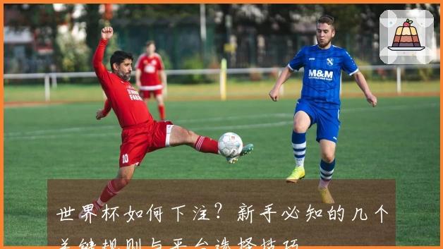 世界杯如何下注？新手必知的几个关键规则与平台选择技巧