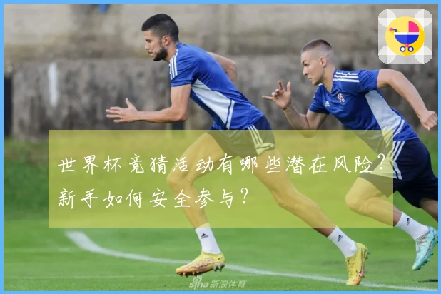 世界杯竞猜活动有哪些潜在风险？新手如何安全参与？