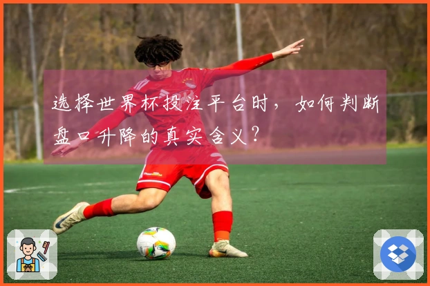 选择世界杯投注平台时，如何判断盘口升降的真实含义？