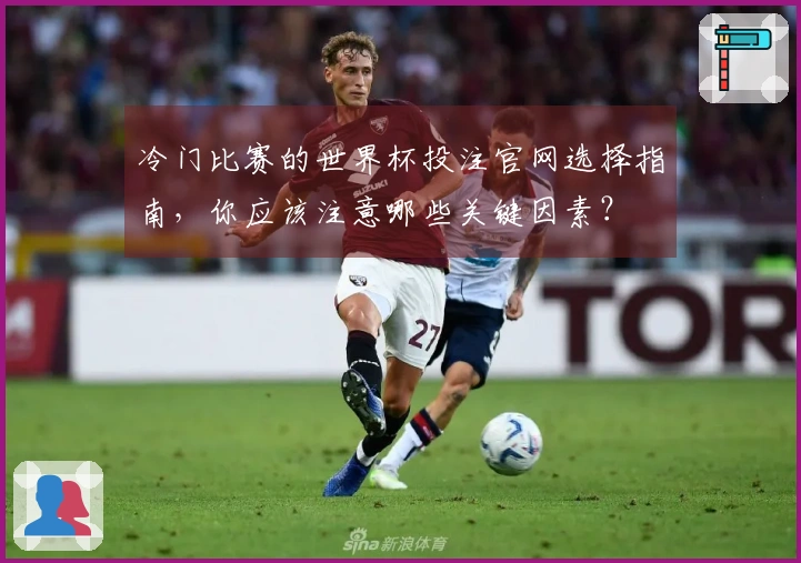 冷门比赛的世界杯投注官网选择指南，你应该注意哪些关键因素？