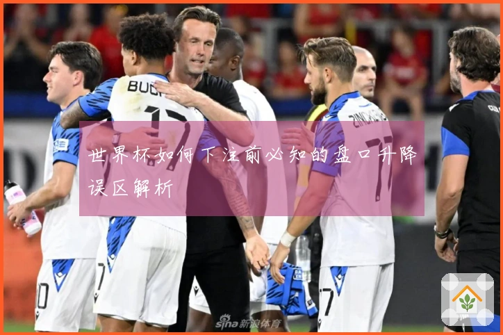 世界杯如何下注前必知的盘口升降误区解析