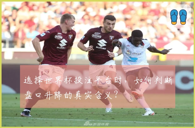 选择世界杯投注平台时,如何判断盘口升降的真实含义?