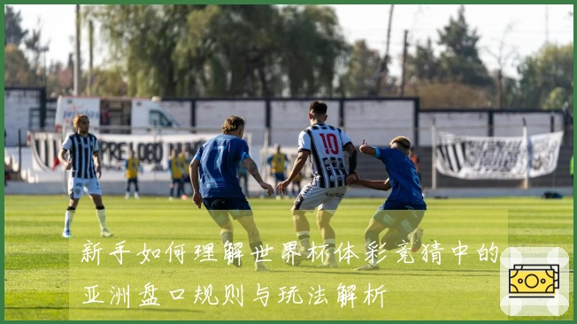 新手如何理解世界杯体彩竞猜中的亚洲盘口规则与玩法解析