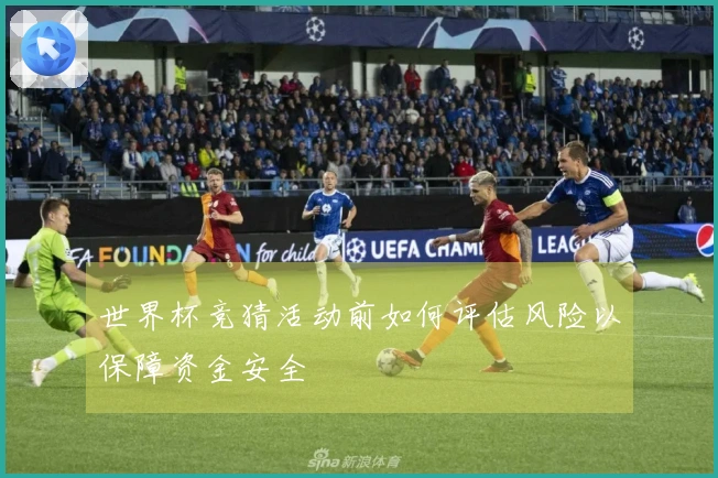 世界杯竞猜活动前如何评估风险以保障资金安全