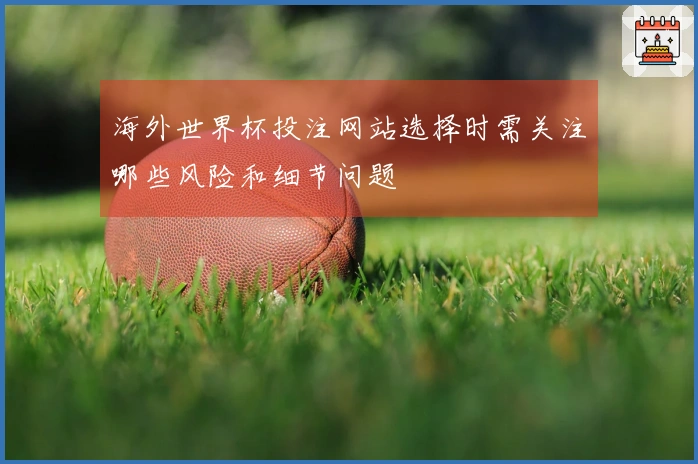 海外世界杯投注网站选择时需关注哪些风险和细节问题