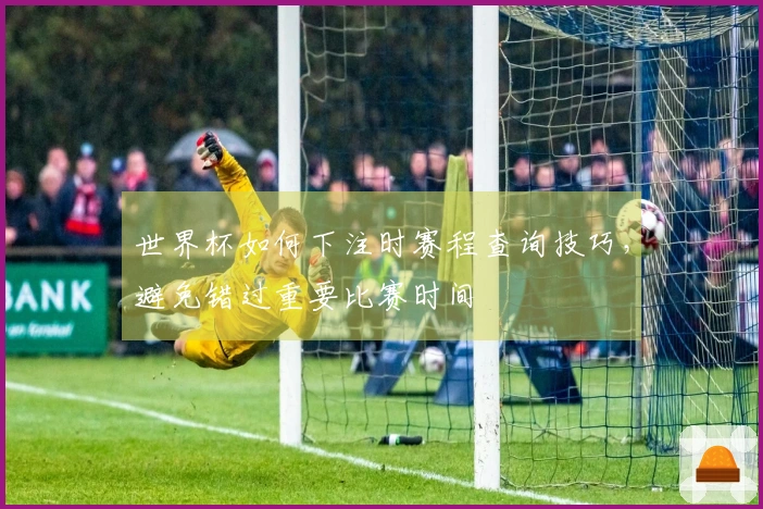 世界杯如何下注时赛程查询技巧，避免错过重要比赛时间