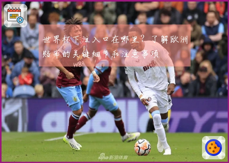 世界杯下注入口在哪里?了解欧洲赔率的关键细节和注意事项