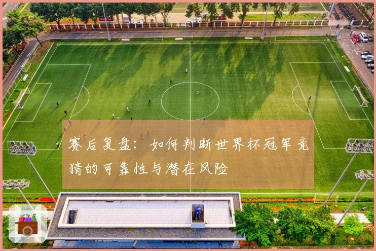 赛后复盘：如何判断世界杯冠军竞猜的可靠性与潜在风险