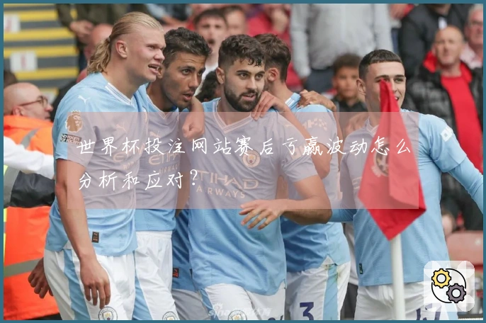 世界杯投注网站赛后亏赢波动怎么分析和应对？