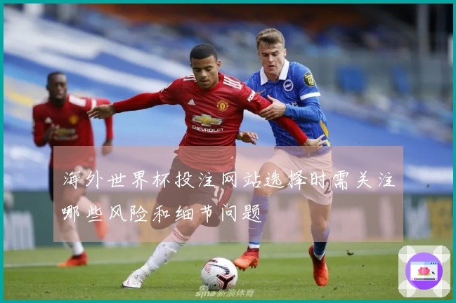 海外世界杯投注网站选择时需关注哪些风险和细节问题