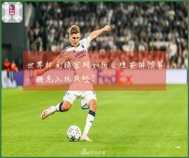 世界杯竞猜官网如何合理安排预算，避免入坑风险？