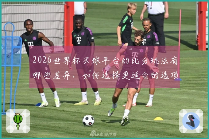 2026世界杯买球平台的比分玩法有哪些差异,如何选择更适合的选项?